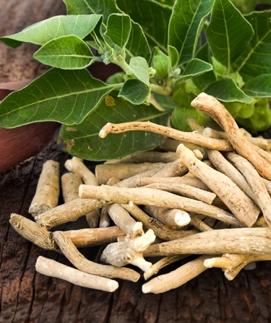 KSM-66 Ashwagandha