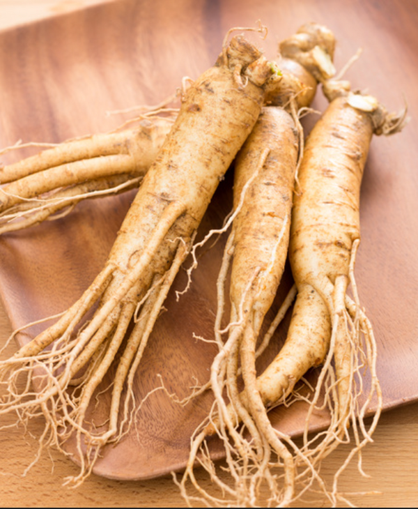 Panax Ginseng